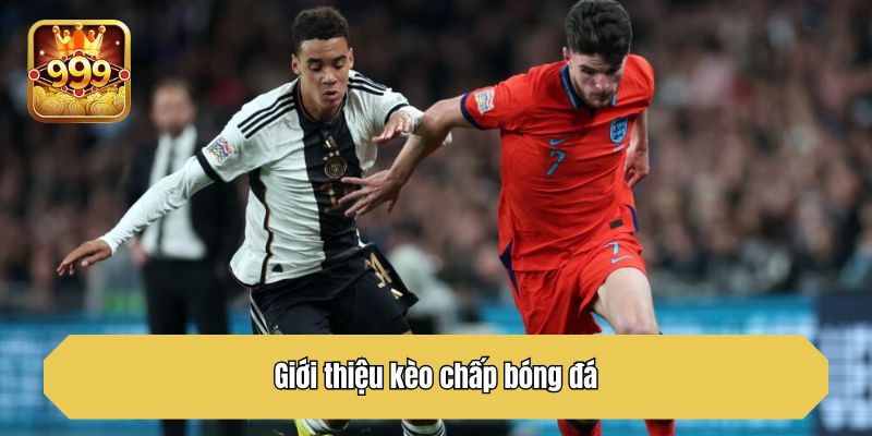 Giới thiệu kèo chấp bóng đá