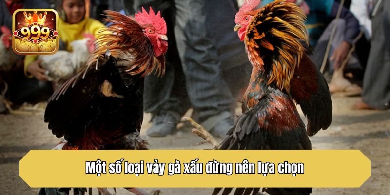 Một số loại vảy gà xấu đừng nên lựa chọn