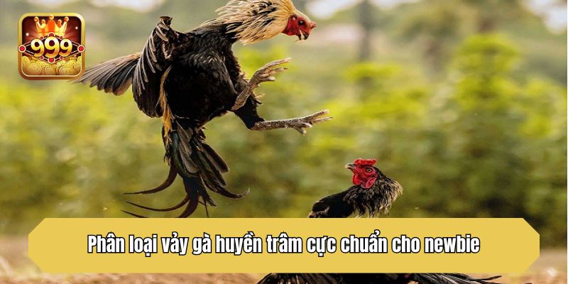 Phân loại vảy gà huyền trâm cực chuẩn cho newbie