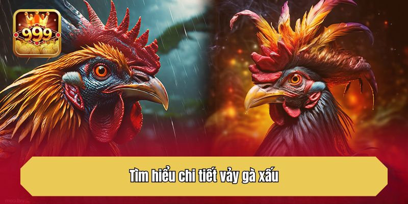 Tìm hiểu chi tiết vảy gà xấu là gì?