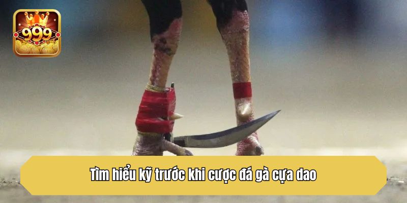 Tìm hiểu kỹ trước khi cược đá gà cựa dao