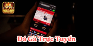 Bí kíp chơi thắng lớn mỗi ngày cho người mới